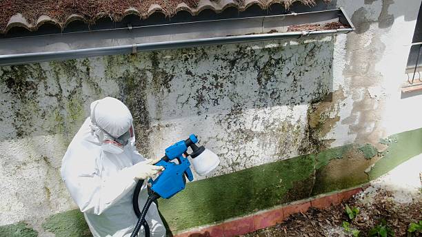 Top rated local Crawl Space Mold Removal specialists in Eldorado Springs, CO